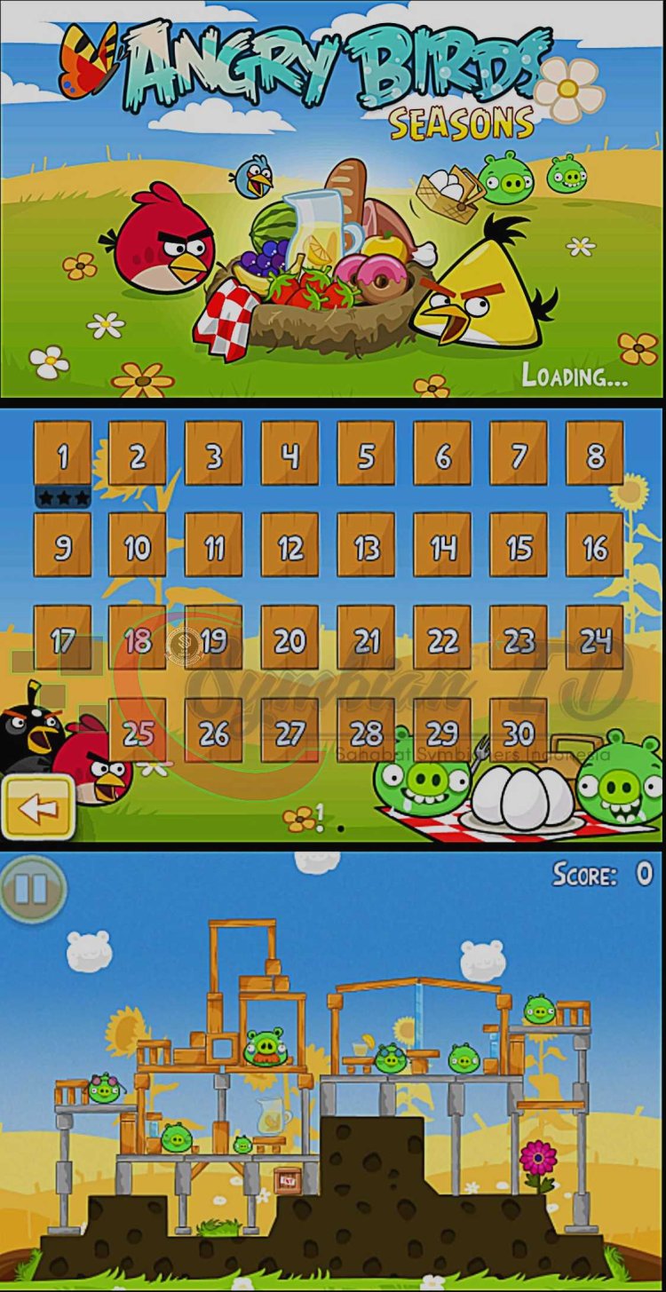 Angry Birds Seasons Summer Pignic [Symbian^3]